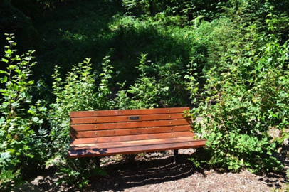 Benches are located throughout the park